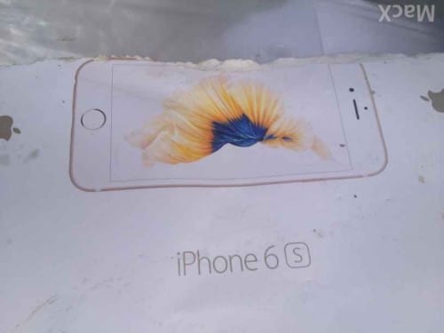 iPhone-6s-Box-art-fish-500x375