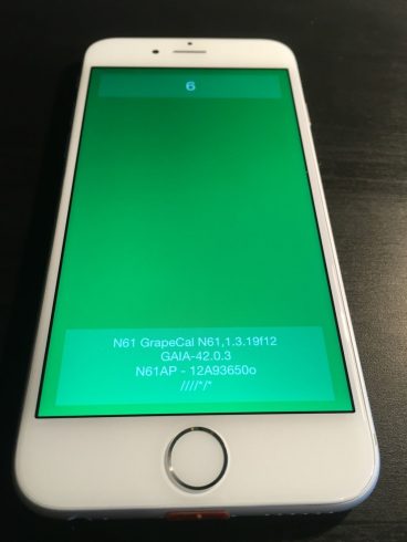 Kép: Az iPhone 6 prototípus egyik alkalmazása megnyitva, gyakorlatilag egy zöld képernyő némi szöveggel.