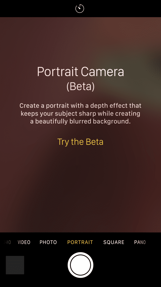portrait-beta